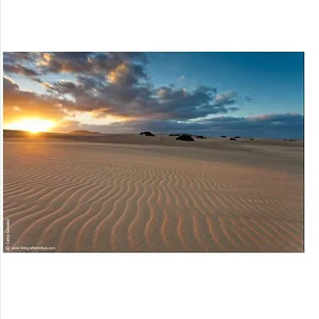 Phenix Apartamento Corralejo