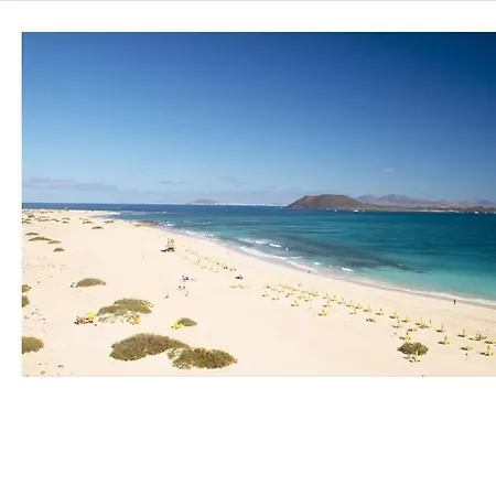 Phenix Appartement *